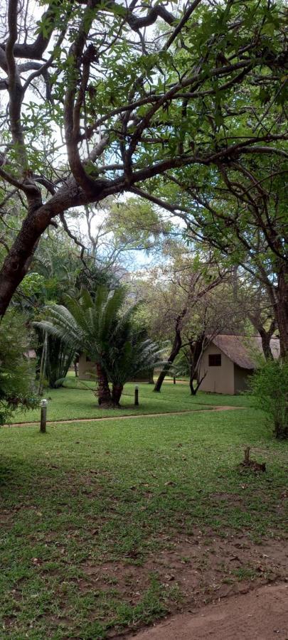 Shumba Safaris Bush Camp Villa Hoedspruit Bagian luar foto